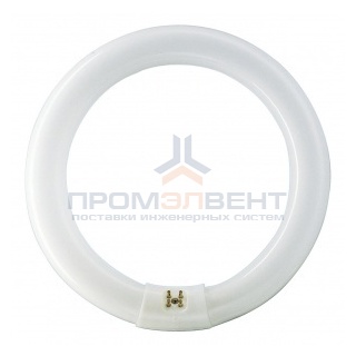 Люминесцентная лампа кольцевая Philips TL-E Circular 40W/33-640 T9 G10q, 406mm